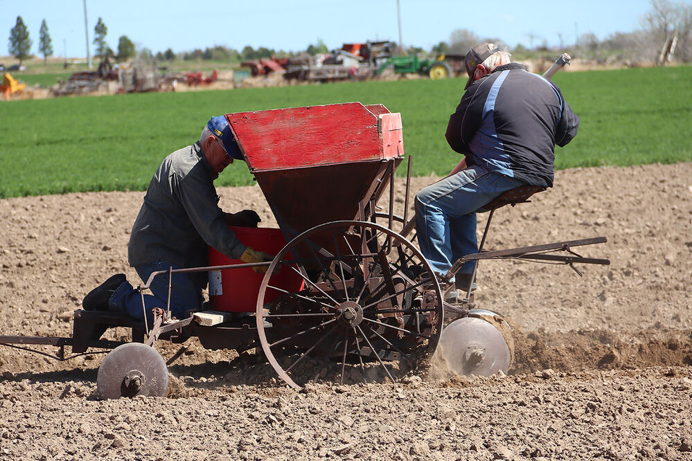 Legacy of the Plains Potatoes